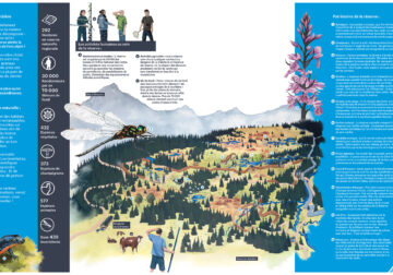 Carte & depliant de la Tourbière des Saisies – Beaufortain – Val d’Arly